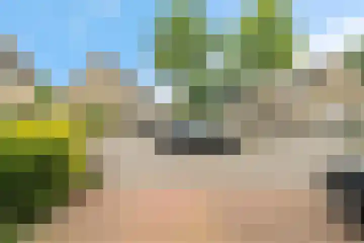 Boskamphoek 85 Enschede thumbnail 4
