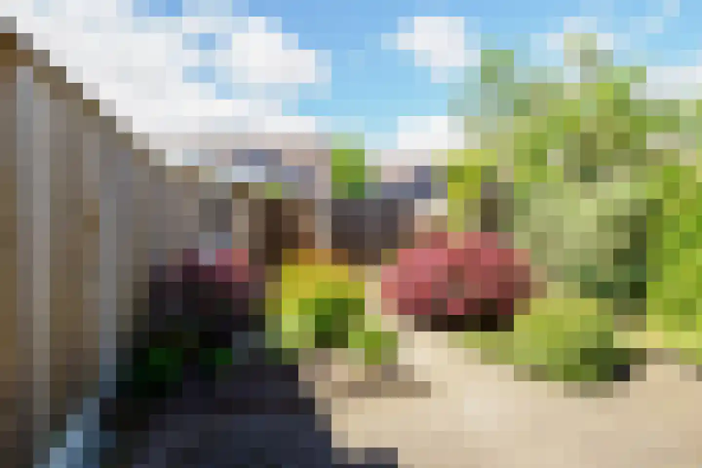 Boskamphoek 97 Enschede thumbnail 36