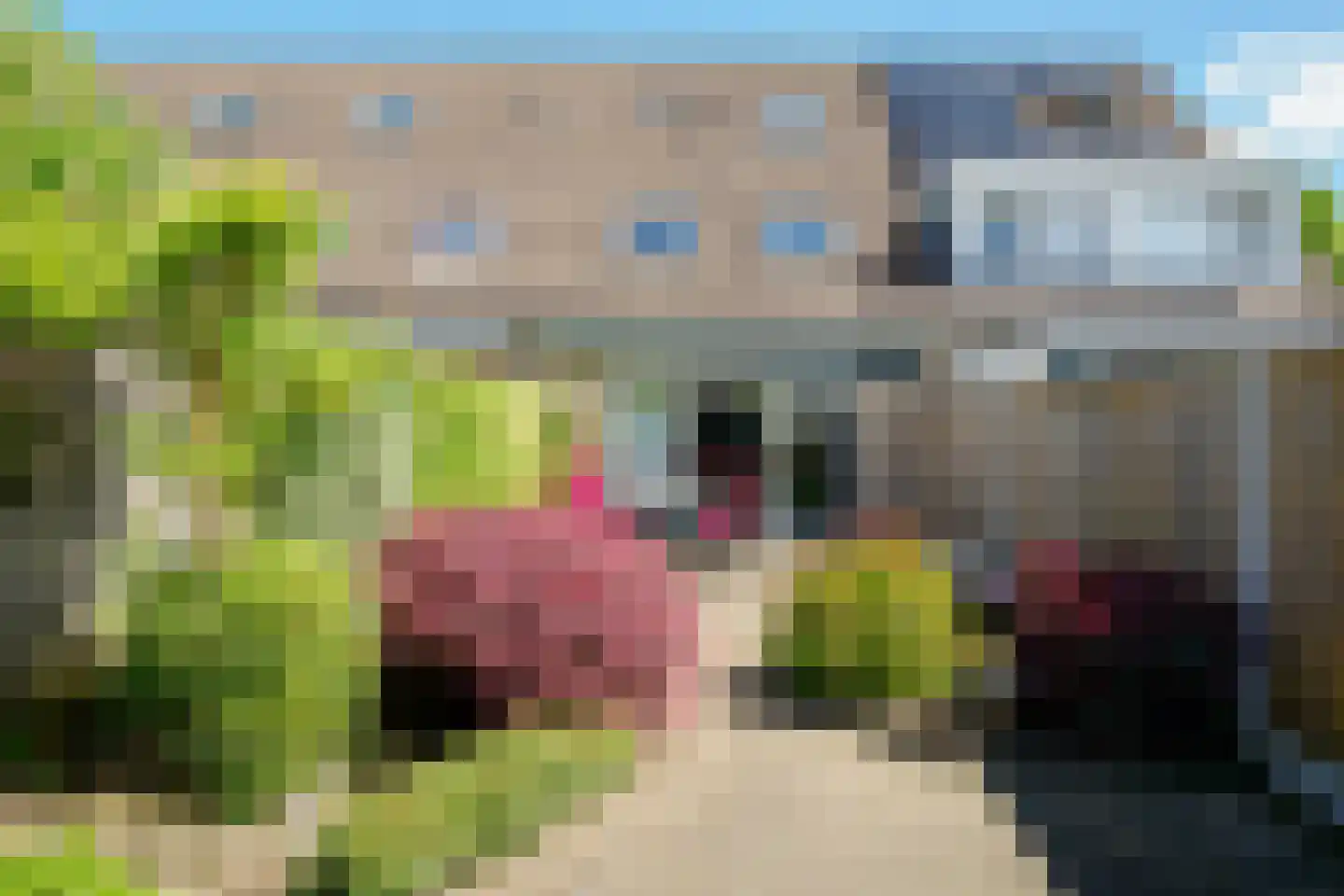 Boskamphoek 97 Enschede thumbnail 38
