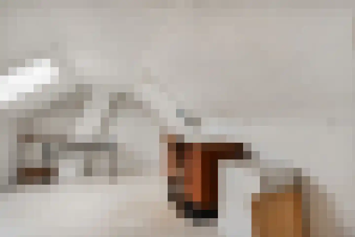 Boskampstraat 1 Tubbergen thumbnail 21