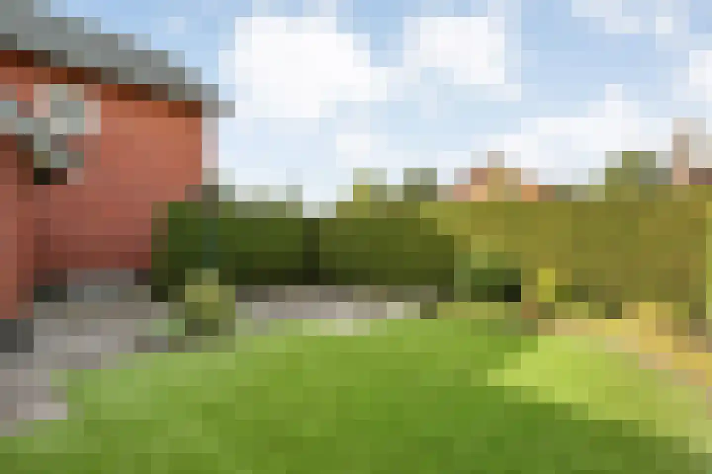 Boskampstraat 1 Tubbergen thumbnail 26