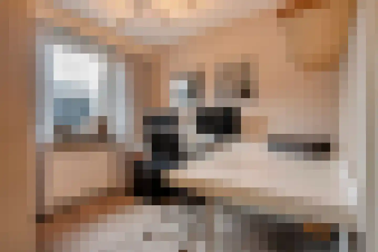 Boskampstraat 15 Tubbergen thumbnail 10