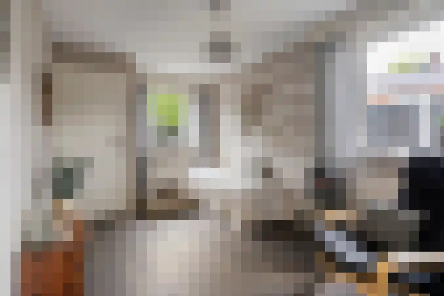 Boskampstraat 15 Tubbergen thumbnail 12
