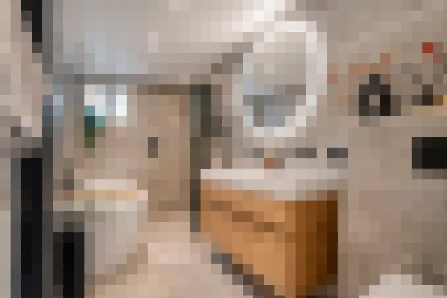 Boskampstraat 15 Tubbergen thumbnail 15