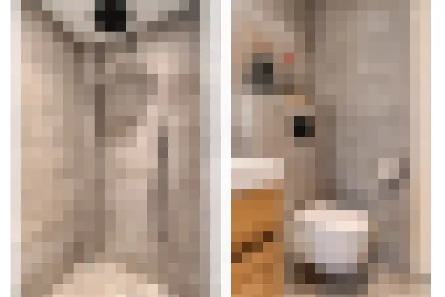 Boskampstraat 15 Tubbergen thumbnail 17