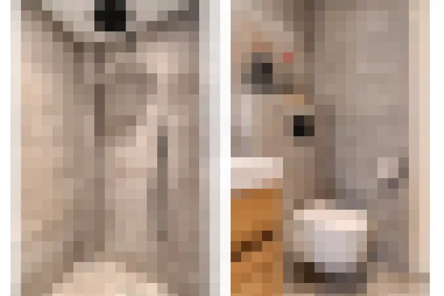 Boskampstraat 15 Tubbergen thumbnail 17