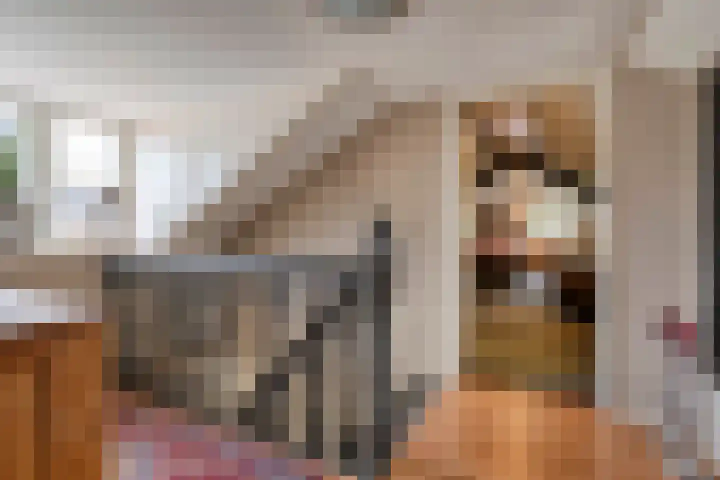 Boskampstraat 15 Tubbergen thumbnail 22