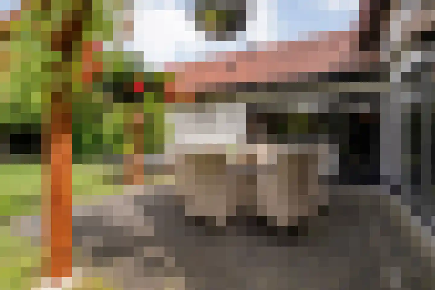 Boskampstraat 15 Tubbergen thumbnail 31