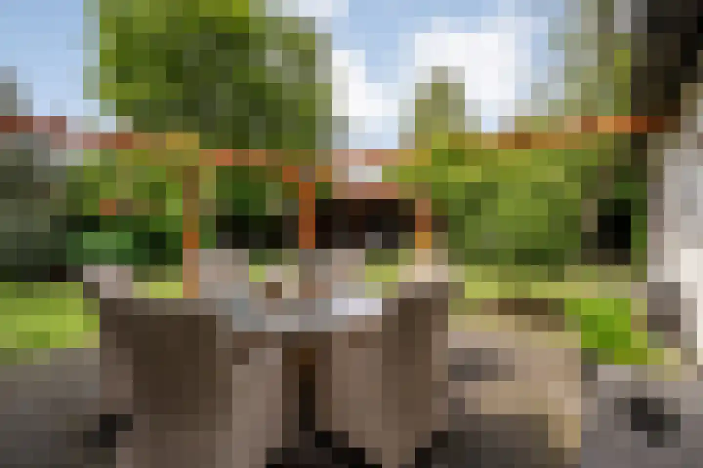 Boskampstraat 15 Tubbergen thumbnail 32