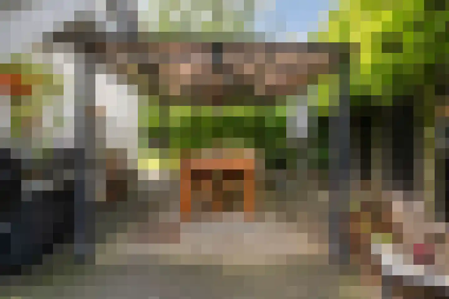 Boskampstraat 15 Tubbergen thumbnail 38