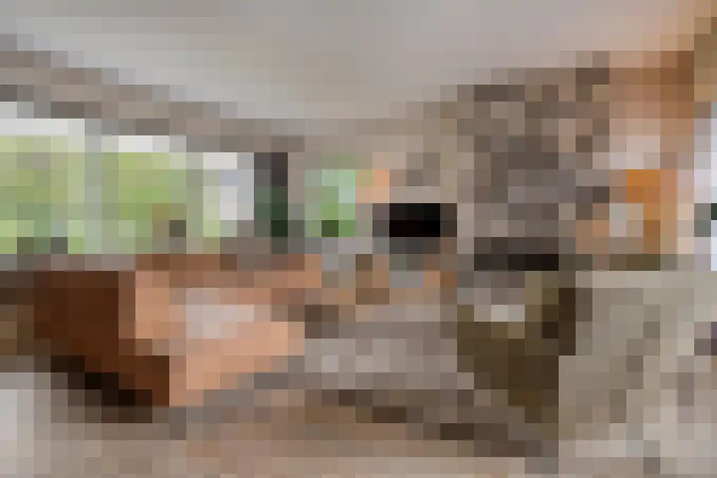 Boskampstraat 15 Tubbergen thumbnail 4