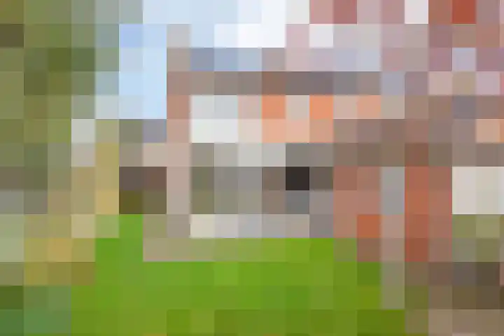Boskampstraat 2 a Tubbergen thumbnail 17