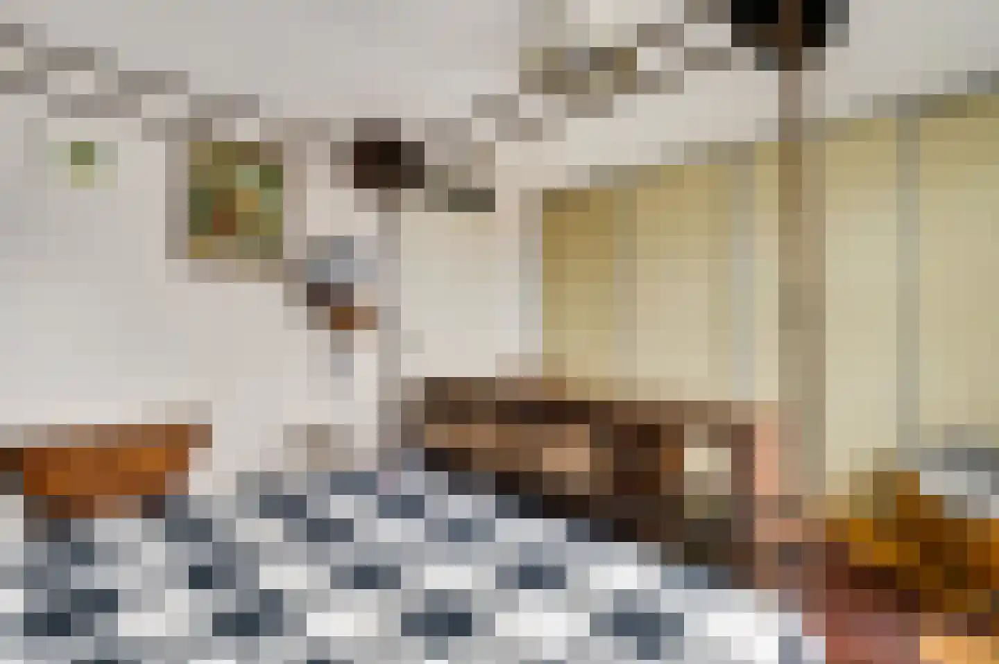 Boskampstraat 21 Tegelen thumbnail 20