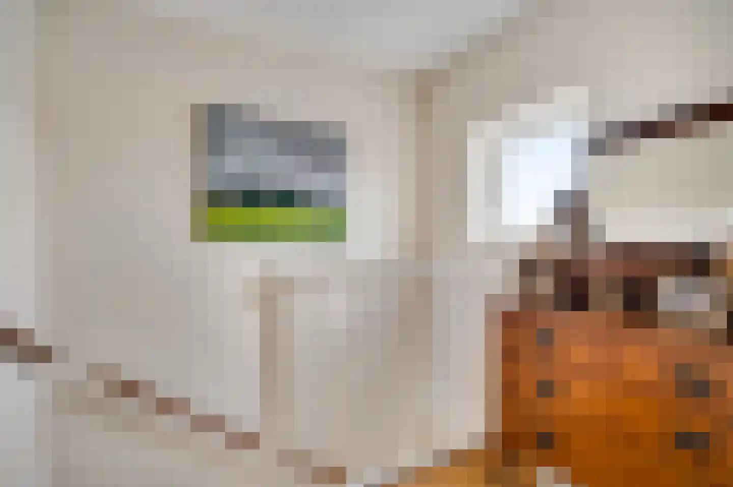 Boskampstraat 21 Tegelen thumbnail 24