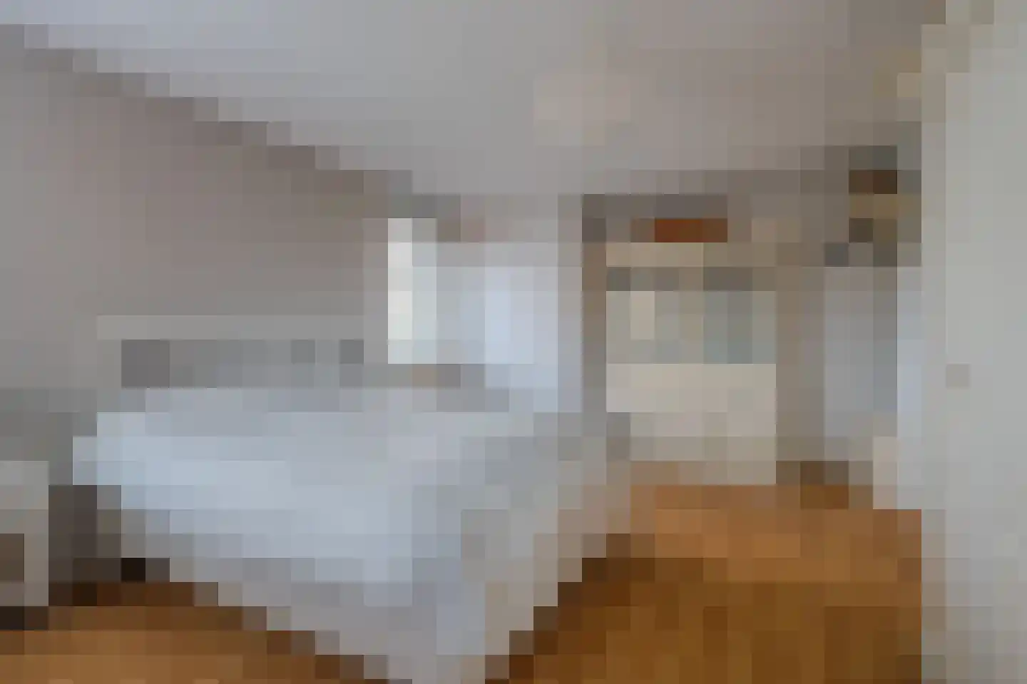 Boskampstraat 23 Tegelen thumbnail 19