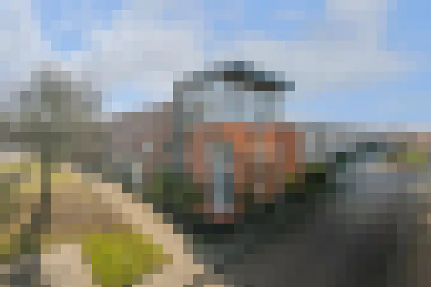Boskampstraat 23 Tegelen thumbnail 45