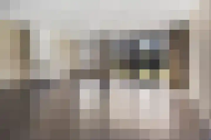 Boskampstraat 28 Zwolle thumbnail 10