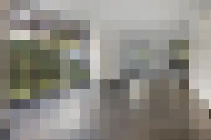 Boskampstraat 28 Zwolle thumbnail 13
