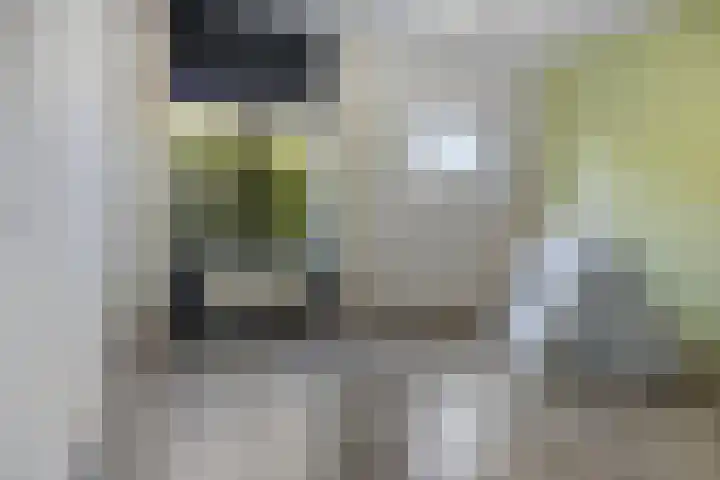 Boskampstraat 28 Zwolle thumbnail 30