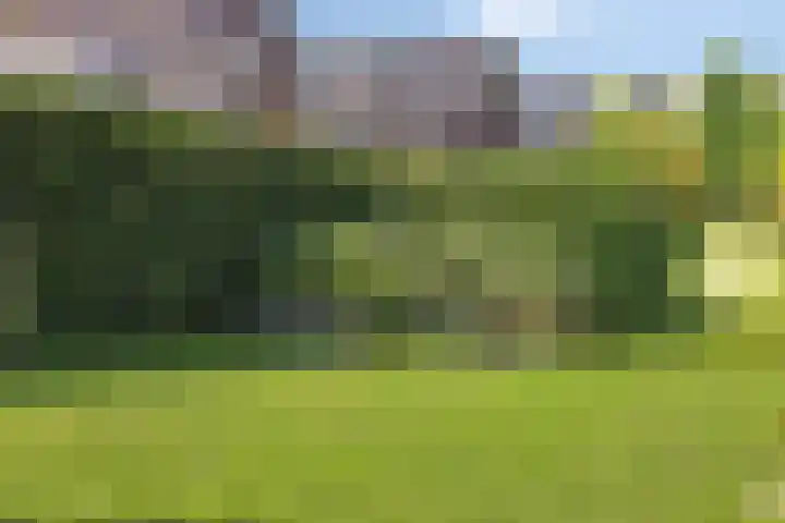 Boskampstraat 28 Zwolle thumbnail 37