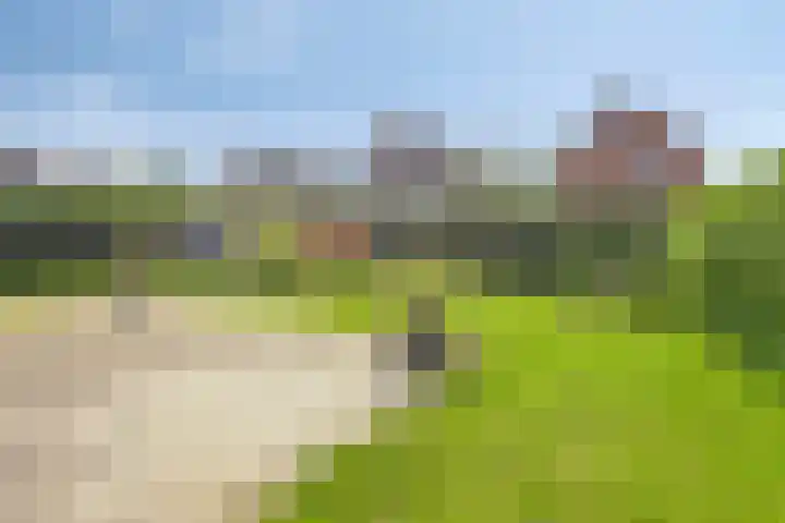 Boskampstraat 28 Zwolle thumbnail 38