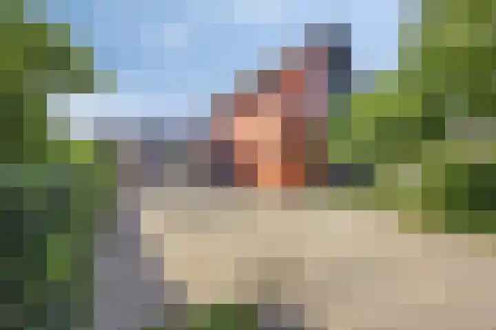 Boskampstraat 28 Zwolle thumbnail 4