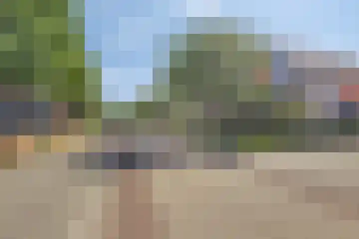 Boskampstraat 28 Zwolle thumbnail 6