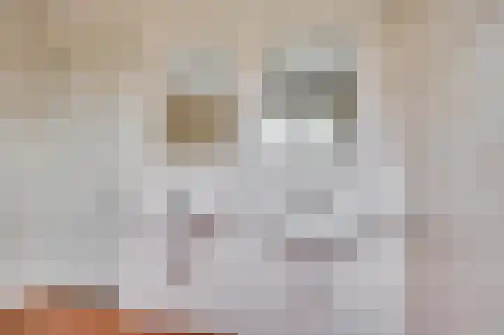Boskampstraat 32 Tegelen thumbnail 32