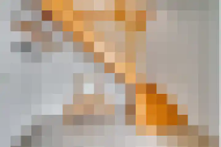 Boskampstraat 32 Tegelen thumbnail 4