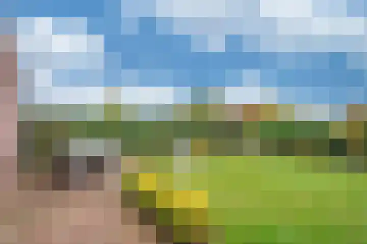 Boskampstraat 32 Tegelen thumbnail 51
