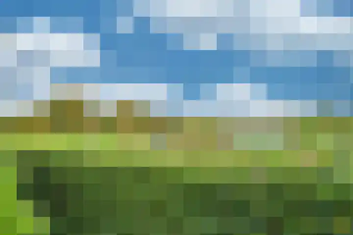 Boskampstraat 32 Tegelen thumbnail 52