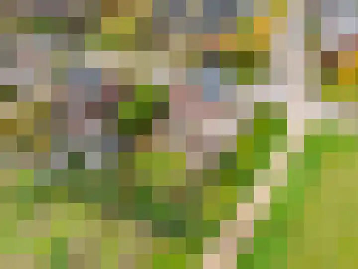 Boskampstraat 32 Tegelen thumbnail 62