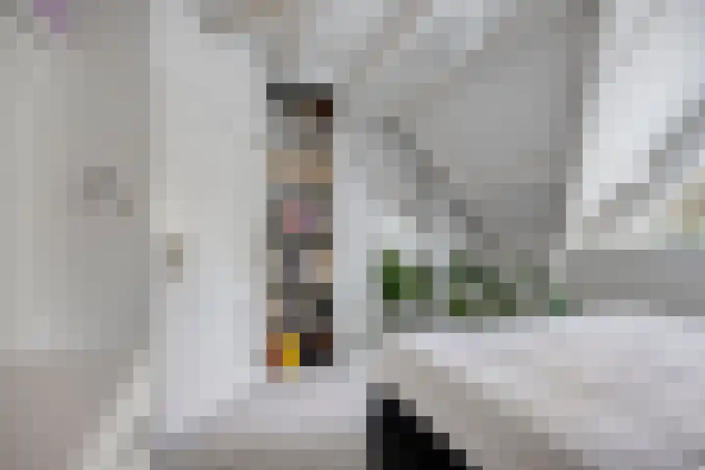 Boskant 13 Handel thumbnail 30