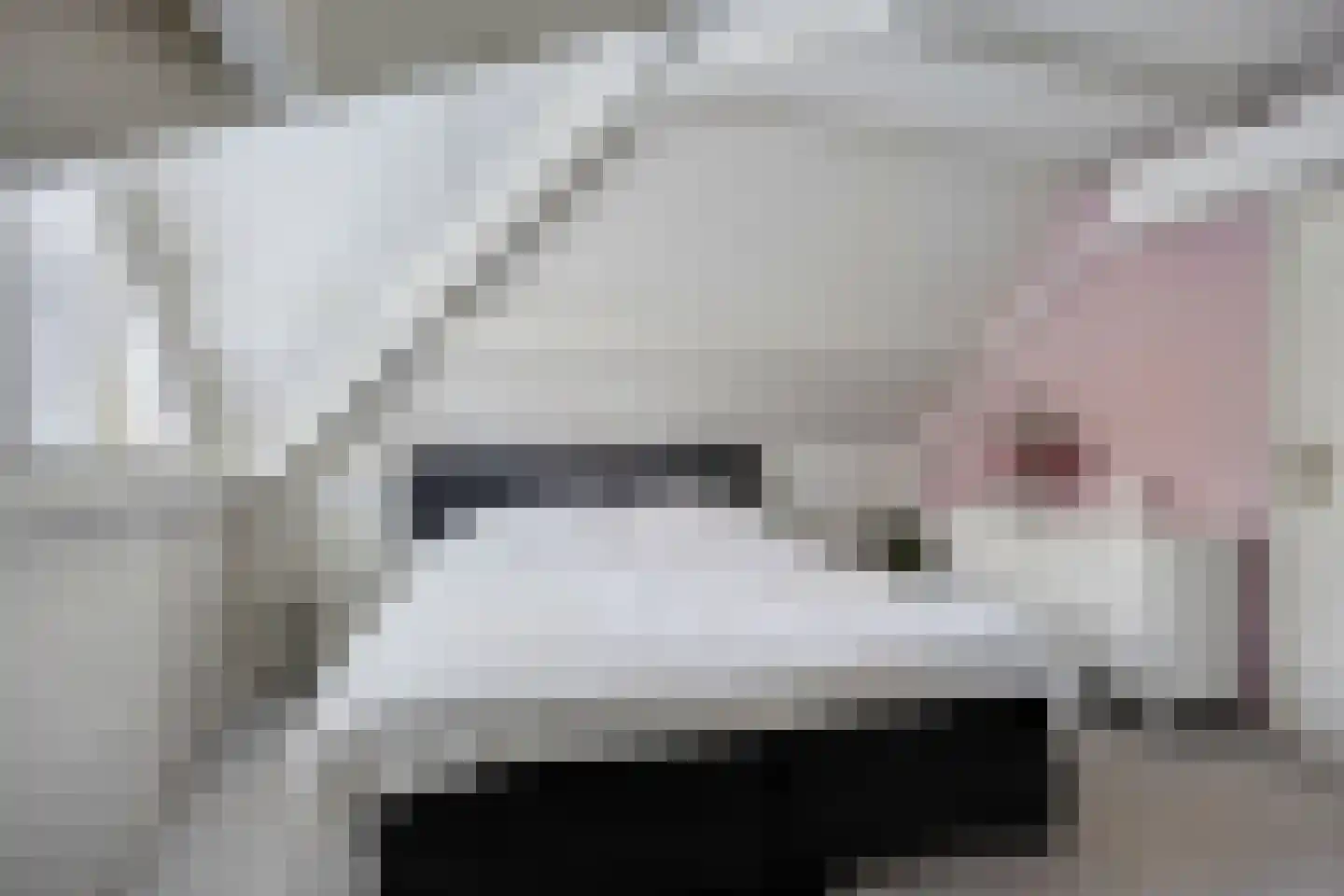 Boskant 13 Handel thumbnail 31