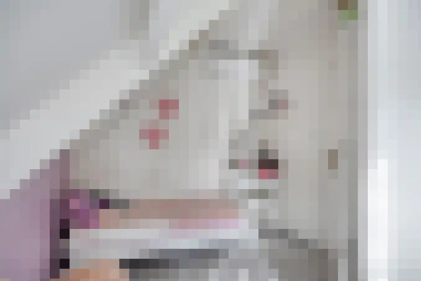 Boskant 13 Handel thumbnail 38
