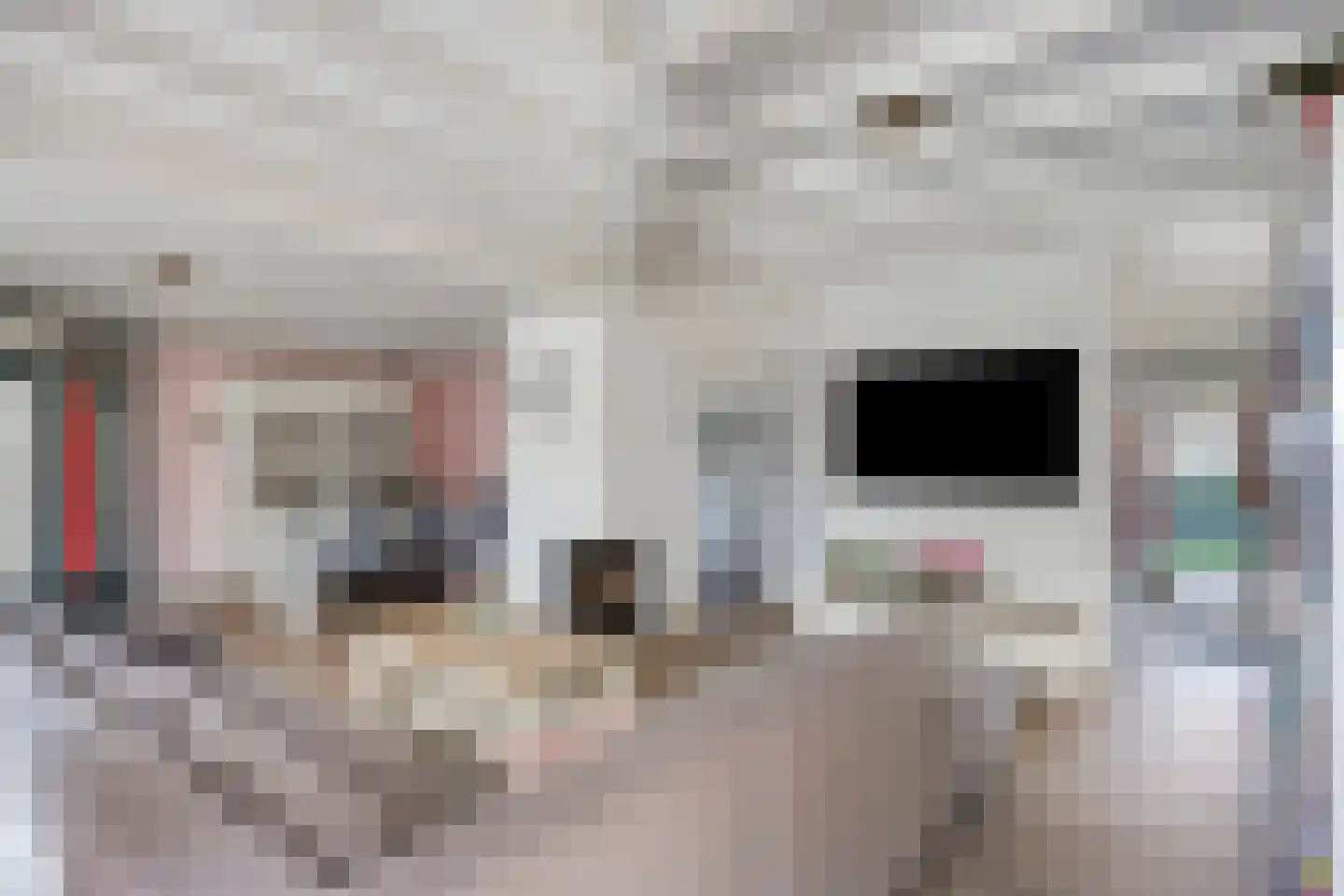 Boskant 13 Handel thumbnail 4