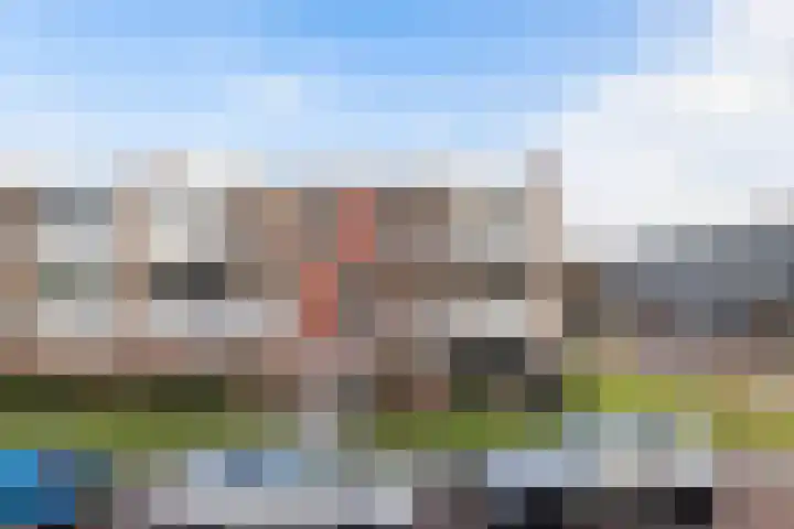 Boskant 13 Handel thumbnail 55