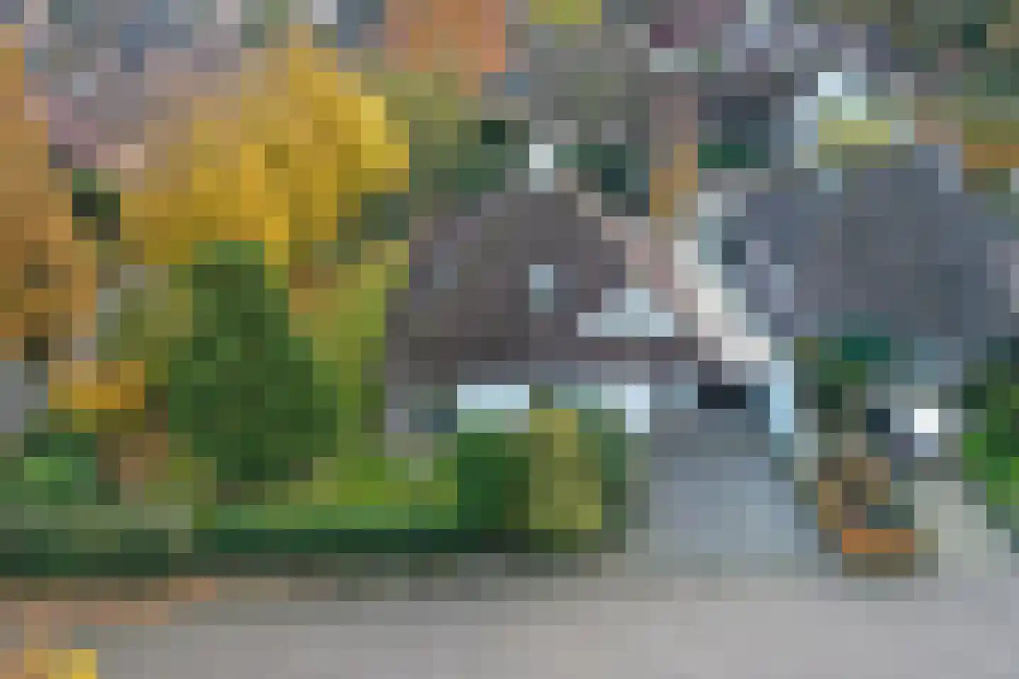 Boskant 13 Handel thumbnail 55