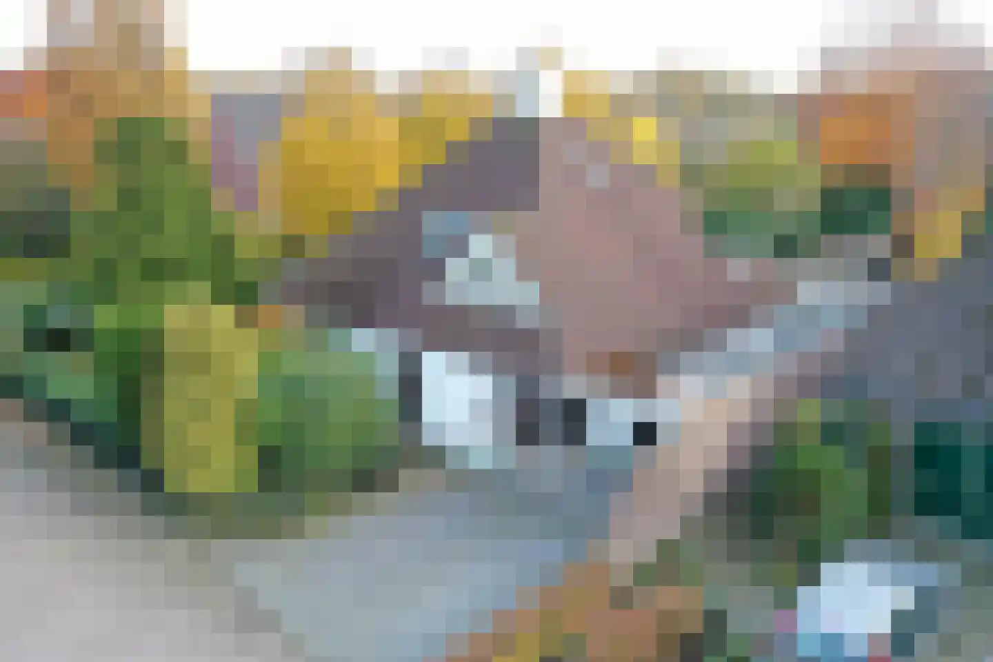 Boskant 13 Handel thumbnail 56