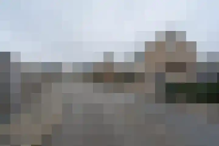 Boskant 13 Handel thumbnail 65