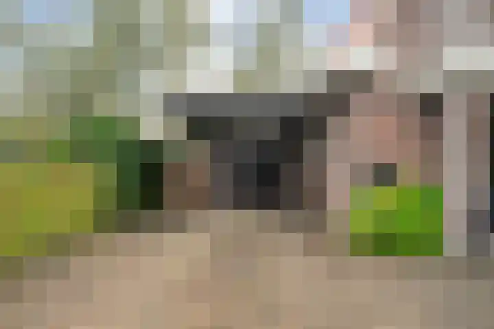 Boskant 15 Handel thumbnail 13