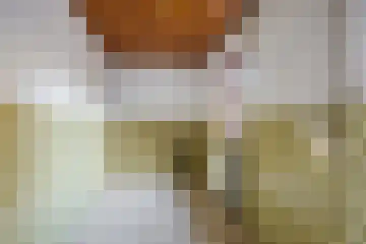 Boskant 15 Handel thumbnail 14
