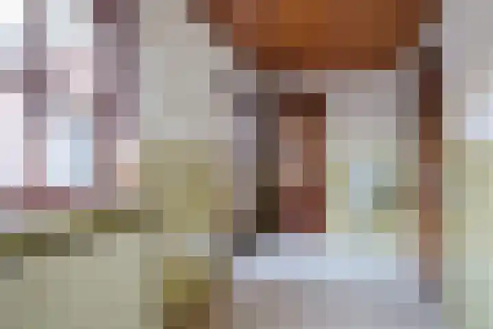 Boskant 15 Handel thumbnail 15