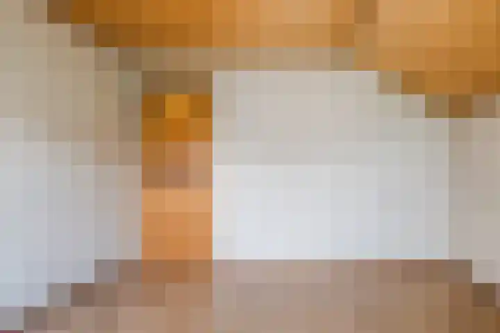 Boskant 15 Handel thumbnail 22
