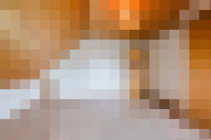 Boskant 15 Handel thumbnail 24