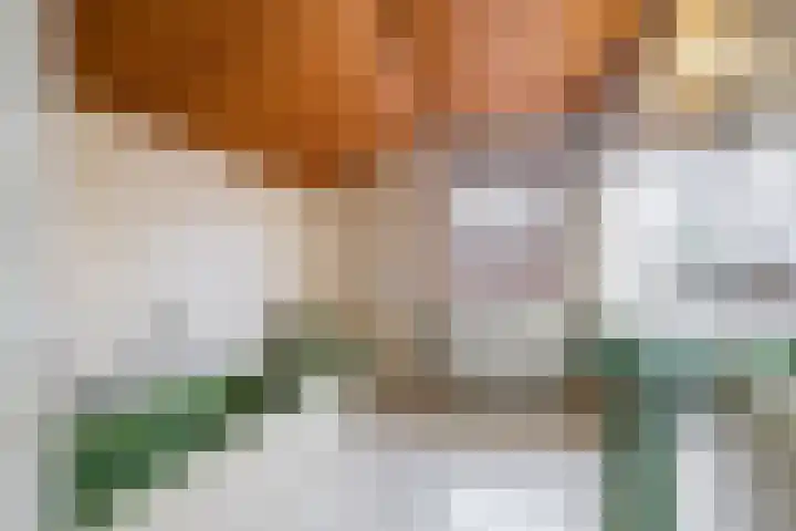 Boskant 15 Handel thumbnail 25