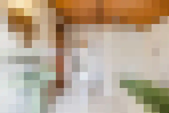 Boskant 15 Handel thumbnail 26