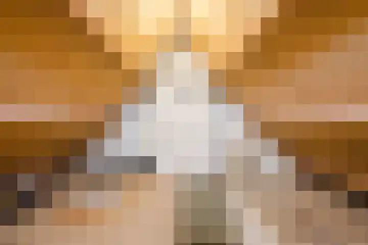 Boskant 15 Handel thumbnail 28