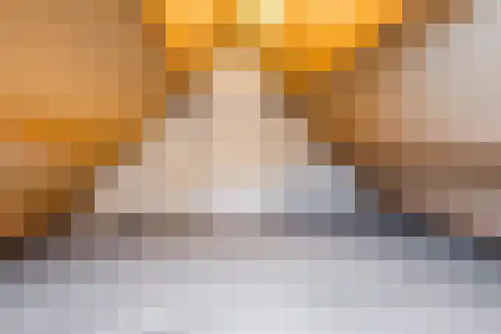 Boskant 15 Handel thumbnail 29