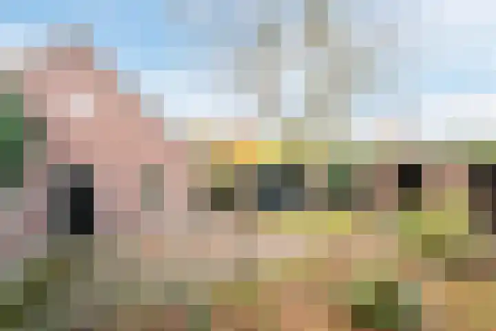 Boskant 15 Handel foto 3